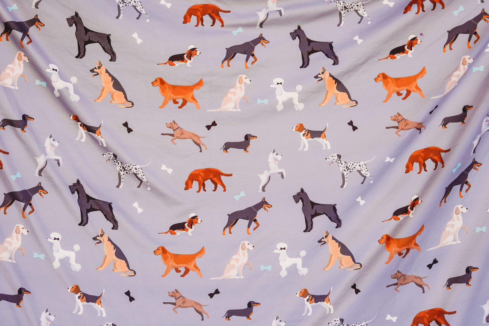 [Must Love Dogs] Sherpa Blanket